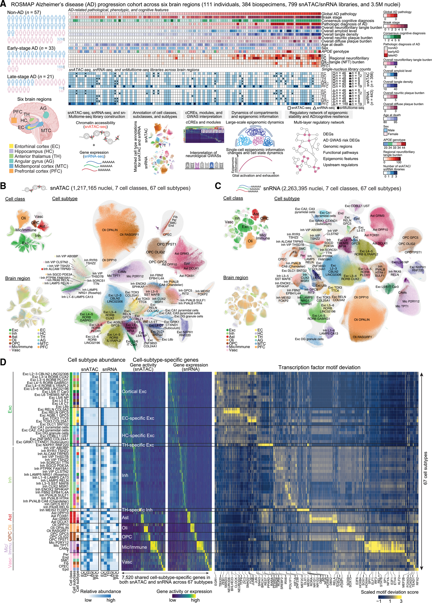 Overview of the Alzheimer's disease single-cell epigenomics study