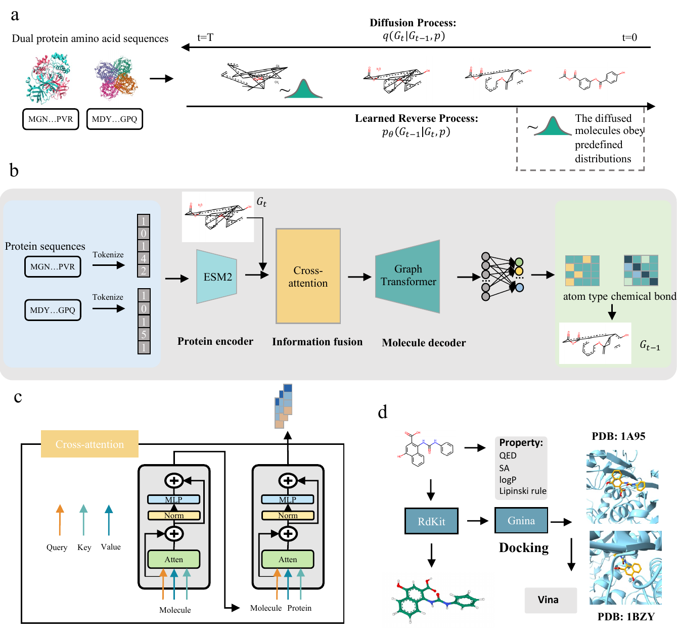 Overview of the DiffDTM conditional dual-protein molecular generation framework