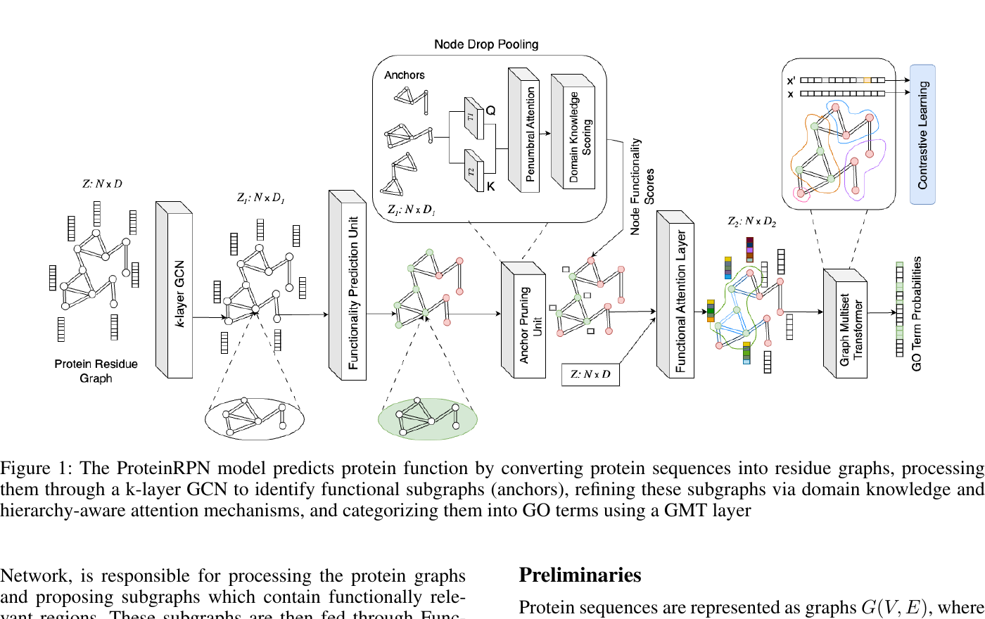 Overview of the ProteinRPN framework for graph-based protein function prediction