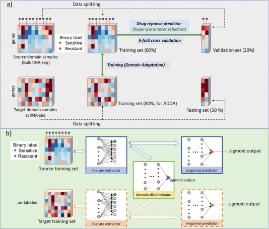 Architecture of the SCAD single-cell drug response annotation model
