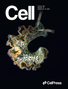 Cell journal cover